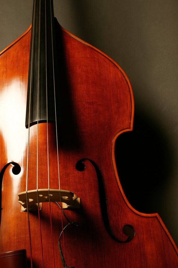 Detailed close-up of a cello highlighting its wooden texture and strings.